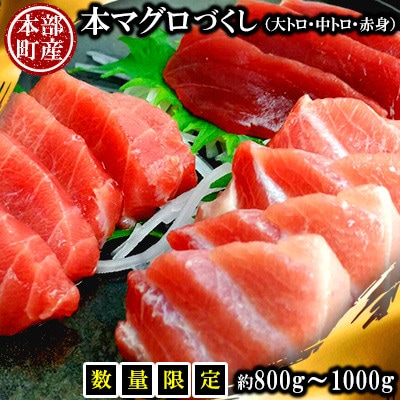 【数量限定】本部町産の本マグロづくし(大トロ・中トロ・赤身)約800g～1000g