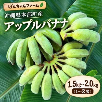 けんちゃんファームのもちもち食感!アップルバナナ 1.5kg～2.0kg(1～2房)