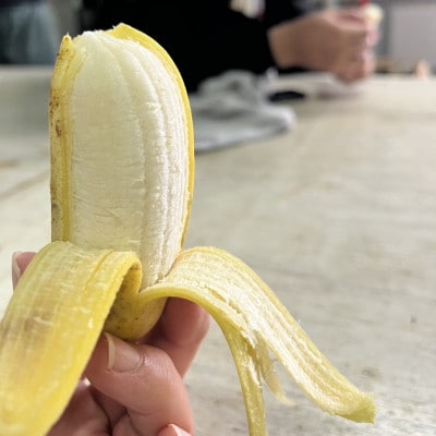【2025年7～12月発送予定】けんちゃんファームのアップルバナナ1.5kg～1.8kg
