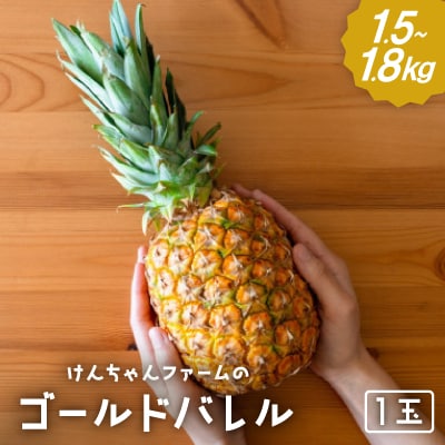 【2025年6～8月発送予定】けんちゃんファームのゴールドバレル1玉(1.5kg～1.8kg)