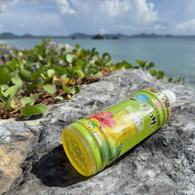 沖縄ボトラーズのシークヮサードリンク 550ml×24本
