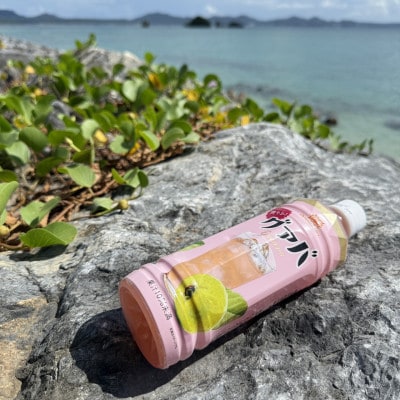 沖縄ボトラーズのグアバジュース 500ml×24本