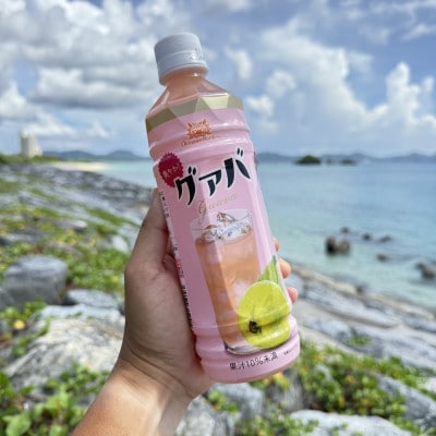 沖縄ボトラーズのグアバジュース 500ml×24本