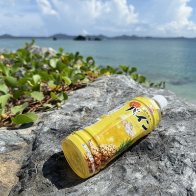 沖縄ボトラーズのパインジュース 500ml×24本