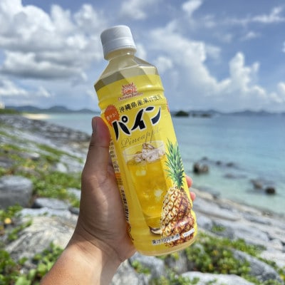 沖縄ボトラーズのパインジュース 500ml×24本