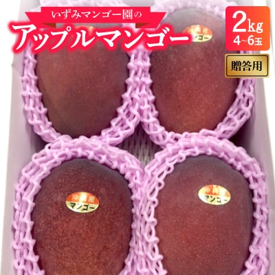 【2025年6月～7月順次発送】いずみマンゴー園の贈答用アップルマンゴー2.0kg(4～6玉)