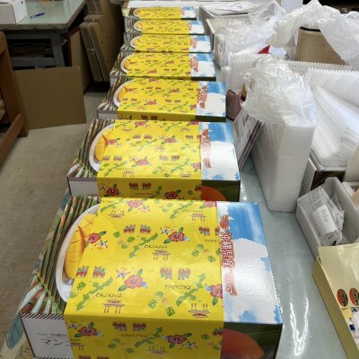 【2026年6月から順次発送】いずみマンゴー園の家庭用アップルマンゴー2.0kg(4～6玉)