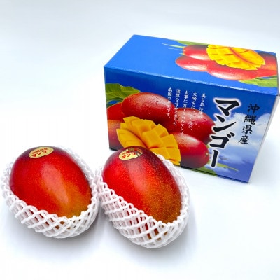 【2026年7月から順次発送】石川さんのご家庭用アップルマンゴー1kg(2～3玉)
