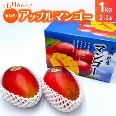 【2026年7月から順次発送】石川さんのご家庭用アップルマンゴー1kg(2～3玉)