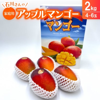 【2026年7月から順次発送】石川さんのご家庭用アップルマンゴー2kg(4～6玉)