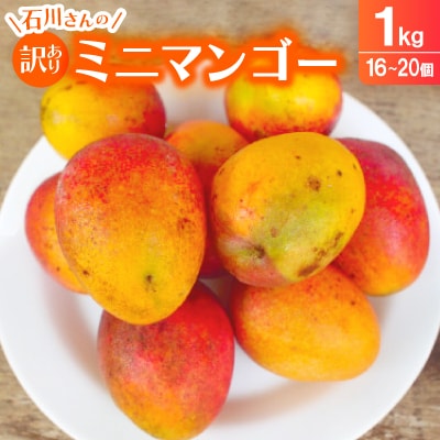 【2025年7月～8月頃の発送】石川さんの訳ありミニマンゴー1.0kg(16～20個)