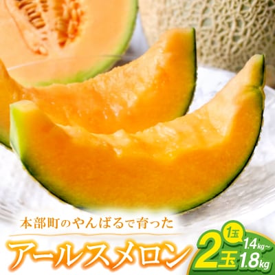 【2025年12月から順次発送】アールスメロン 2玉(1玉1.4kg～1.8kg)