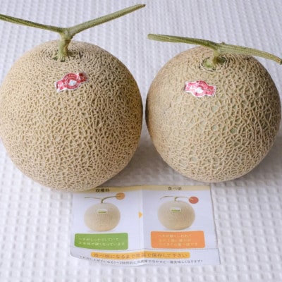 【2026年5月から順次発送】アールスメロン 2玉(1玉1.4kg～1.8kg)