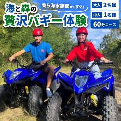 美ら海水族館からすぐ!海と森の贅沢バギー体験 大人2名様 中人1名様 60分コース