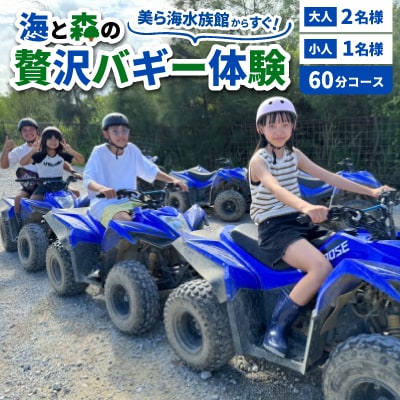 美ら海水族館からすぐ!海と森の贅沢バギー体験 大人2名様 小人1名様 60分コース