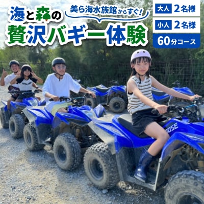 美ら海水族館からすぐ!海と森の贅沢バギー体験 大人2名様 小人2名様 60分コース