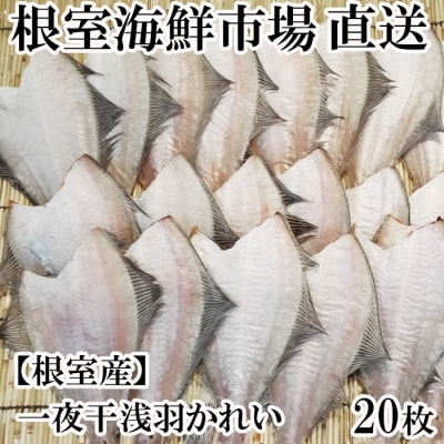 【北海道根室産】根室海鮮市場＜直送＞一夜干し浅羽かれい20枚 A-28059
