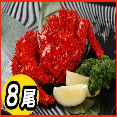 【北海道根室産】花咲かに300～450g×8尾 C-30005