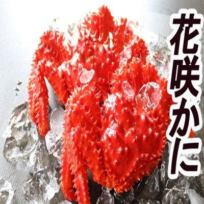 【北海道根室産】花咲かに300g～450g×8尾 C-36005