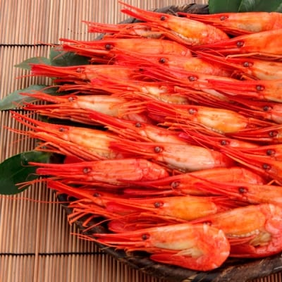 【北海道根室産】北海シマエビ500g(32～46尾)×2P(計1kg) B-81003
