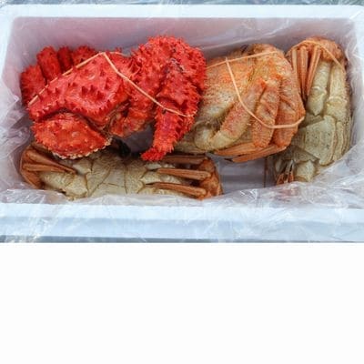【北海道根室産】花咲ガニとクリガニの食べ比べ A-57041