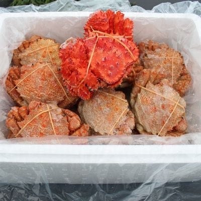 【北海道根室産】クリガニ12～14尾(計2.5kg前後)、花咲ガニ1尾 A-57044