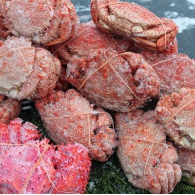 【北海道根室産】クリガニ18～22尾(計4kg前後)、花咲ガニ1尾 B-57023
