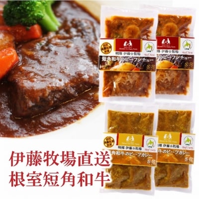 【北海道根室産】短角和牛ビーフシチュー2P、カレー2Pセット A-13007