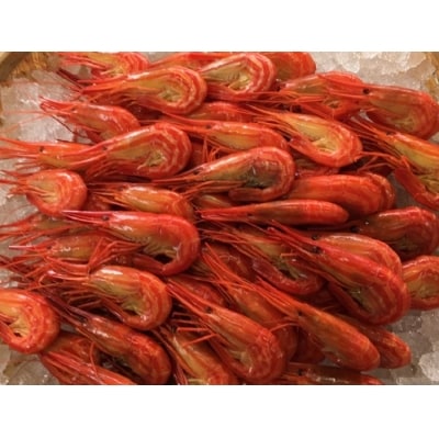 【北海道根室産】北海しまエビ1kg×2P D-50001