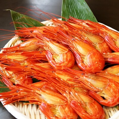【北海道根室産】北海しまえび400g(16～19尾) A-32018