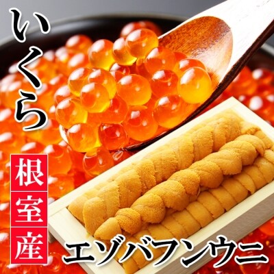 【北海道根室産】エゾバフンウニ140g×1折、いくら醤油漬け150g×1P D-40022