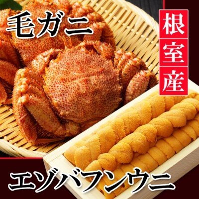 【北海道根室産】エゾバフンウニ140g×1折、毛ガニ300g前後～400g前後×2尾 D-40025