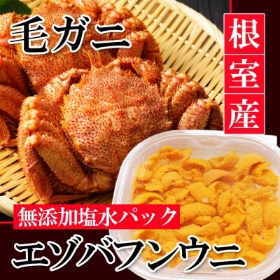 【北海道根室産】エゾバフンウニ塩水パック1P、毛ガニ300g前後～400g前後×2尾 D-40026
