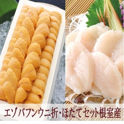 【北海道根室産】エゾバフンウニ140g×1折、お刺身ほたて貝柱500g×1P D-53023