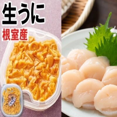 【北海道根室産】エゾバフンウニ塩水パック150g×1P、刺身ホタテ貝柱500g×1P D-71027