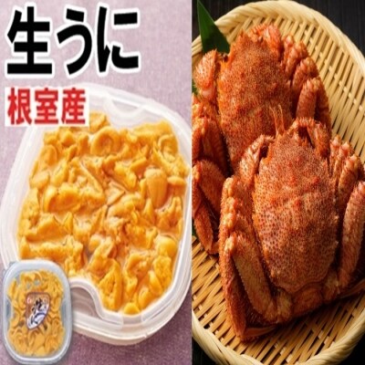 【北海道根室産】エゾバフンウニ塩水パック1P、毛ガニ300g前後～400g前後×2尾 D-71029