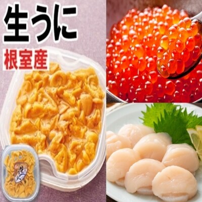 【北海道根室産】エゾバフンウニ塩水パック1P、いくら醤油漬け1P、刺身ホタテ貝柱1P E-71002