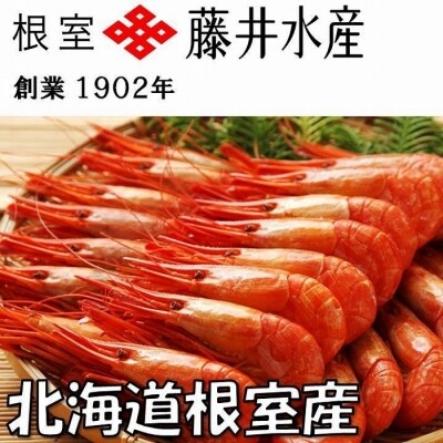 【北海道根室産】北海しまえび700g A-42108