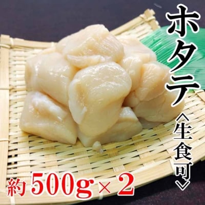 ＼漁業者応援品/【北海道根室産】冷凍ホタテ貝柱約1kg A-95003