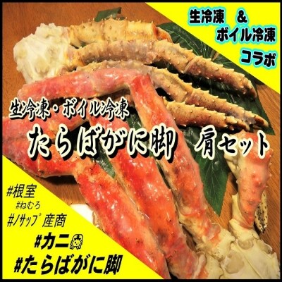 【北海道根室産】たらばがに脚の肩セット(ボイル冷凍・生冷凍) E-59005