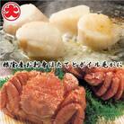 【北海道根室産】お刺身ほたて500g×1P、ボイル毛がに400g×1尾 B-01057