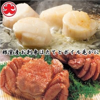 【北海道根室産】お刺身ほたて500g×1P、ボイル毛がに400g×1尾 B-01057