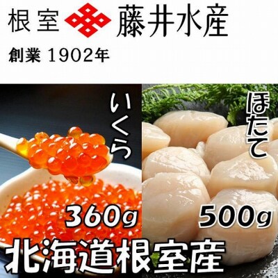 【北海道根室産】いくら醤油漬け120g×3P、お刺身帆立貝柱500g C-42073