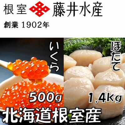 【北海道根室産】いくら醤油漬250g×2P、お刺身帆立貝柱700g×2P D-42061