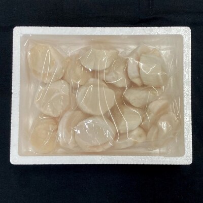 ＼漁業者応援品/【北海道根室産】お刺身帆立貝柱500g A-42098