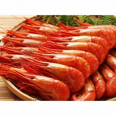 【北海道根室産】ボイル北海シマエビ1.2kg B-42086