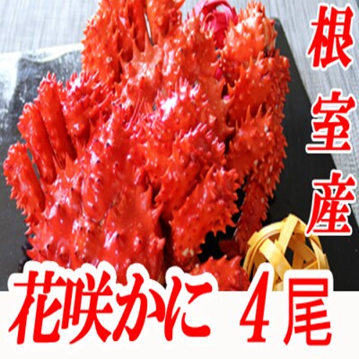 【北海道根室産】花咲かに400～550g前後×4尾 B-70015