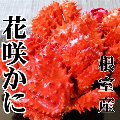 【北海道根室産】花咲かに500～650g×2尾 A-70054