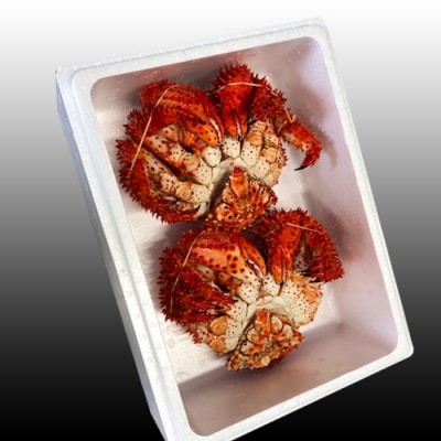 【北海道根室産】花咲かに500～650g×2尾 A-30054