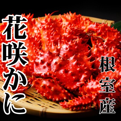 【北海道根室産】花咲かに500～650g×2尾 A-36054